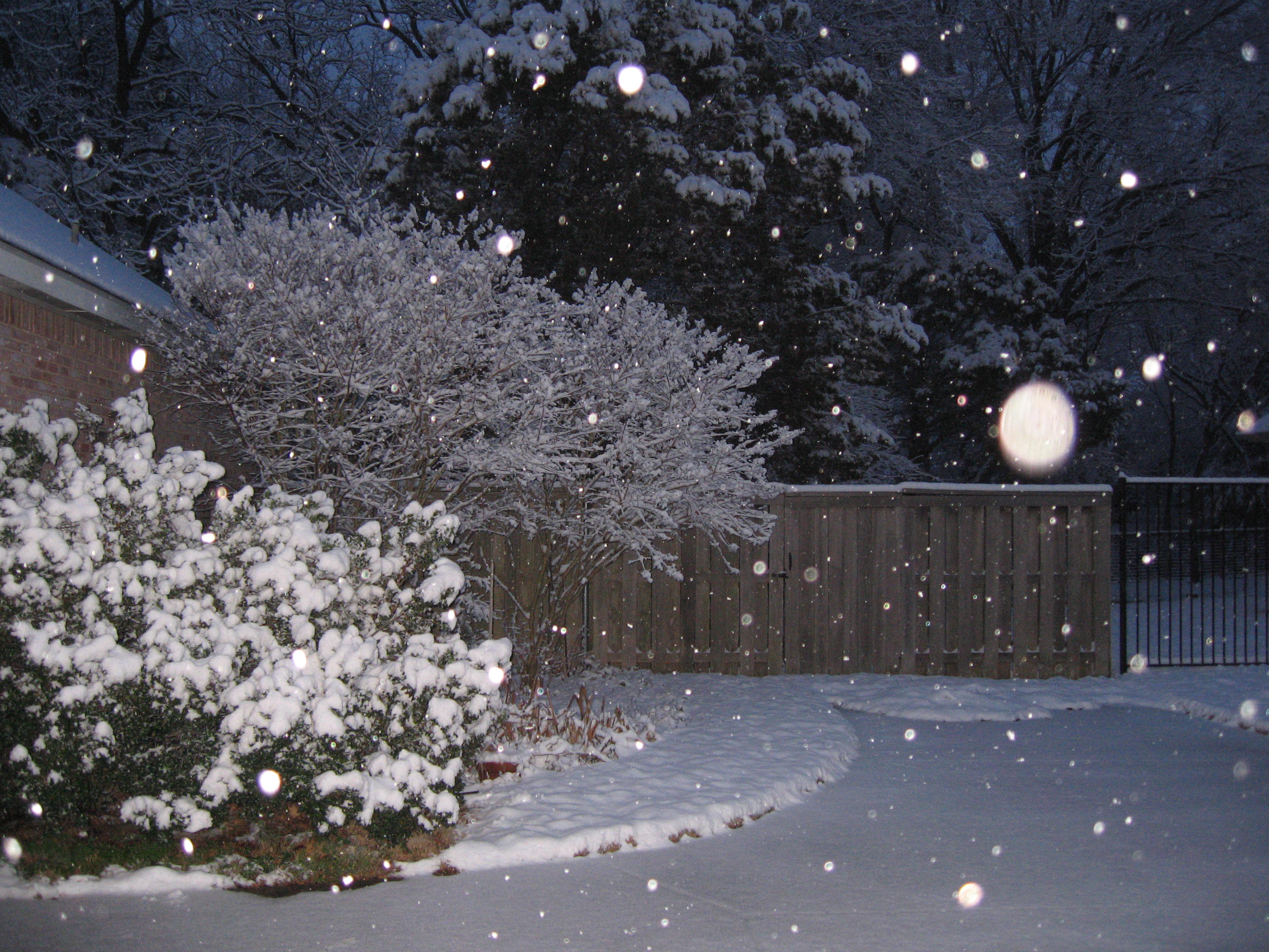 10.02.11 cedar hill snow scenes 006